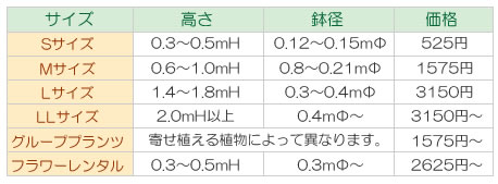 植物レンタル料金(月額)