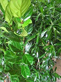 1.ご提案