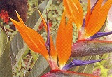 1.ご提案